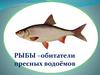 Рыбы – обитатели пресных водоёмов