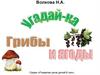 Волкова Н.А. Угадай-ка «Грибы и ягоды». Игра для детей 5-7 лет