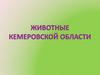 Животные Кемеровской области