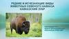 Редкие и исчезающие виды животных Севеного Кавказа