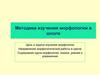 Методика изучения морфологии в школе