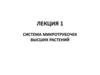Система микротрубочек высших растений