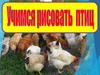 ИЗО. 7 класс. Птицы