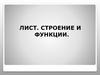 Лист. Строение и функции