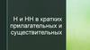 Н и НН в кратких прилагательных и существительных