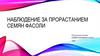 Наблюдение за прорастанием семян фасоли