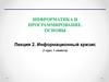 Информатика и программирование. Основы. Лекция 2. Информационный кризис