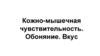 Кожно-мышечная чувствительность. Обоняние. Вкус