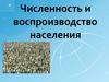 Численность и воспроизводство населения