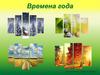 Времена года