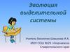 Эволюция выделительной системы