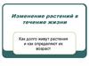 Изменение растений в течение жизни. 6 класс