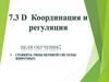 Координация и регуляция