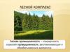 Лесной комплекс