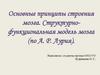 Основные принципы строения мозга. Структурно-функциональная модель мозга (по А. Р. Лурия)