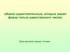 Имена существительные, которые имеют форму только единственного числа. Урок русского языка. 5 класс