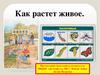 Как растет живое