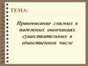 Правописание гласных в падежных окончаниях существительных в единственном числе