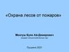 Роль лесных  пожаров. Горимость лесов. Пожароопасный сезон и период. Лесопожарные пояса