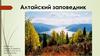 Алтайский заповедник