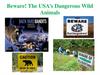 The USA’s Dangerous Wild Animals