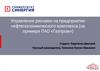 Управление рисками на предприятии нефтегазохимического комплекса (на примере ПАО «Газпром»)