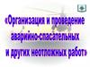 Организация проведения аварийно-спасательных работ в зоне чрезвычайных ситуаций