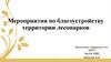 Мероприятия по благоустройству территории лесопарков