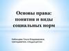 Основы права: понятия и виды социальных норм