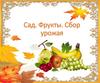 Сад. Фрукты. Сбор урожая