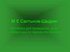 М.Е Салтыков-Щедрин. Материал для проведения урока литературы по творчеству писателя