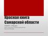 Красная книга Самарской области. Более 300 видов растений и около 300 видов животных