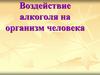 Воздействие алкоголя на организм человека