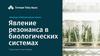 Явление резонанса в биологических системах