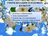 Лекция №4. Техника селекционного скрещивания. Методика гибридизации садовых культур