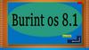 Burint OS 8.1