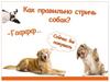 Как правильно стричь собак