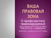 Ваша правовая зона. О профилактике правонарушений (для учащихся 9-11 классов)
