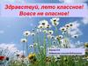Здравствуй, лето классное! Вовсе не опасное! Общие правила поведения. Игра