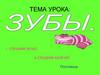 Строение зуба. Правила ухода за ротовой полостью