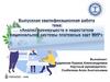 ВКР: Анализ преимуществ и недостатков национальной системы платежных карт МИР