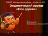 Экологический проект «Мое дерево»
