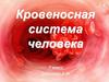 Кровеносная система человека