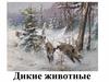 Дикие животные