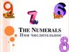 The Numerals