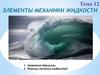 Элементы механики жидкости. Тема 12