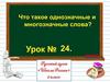 Что такое однозначные и многозначные слова? Урок №24