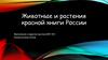 Животные и растения красной книги России