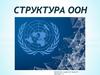 Структура ООН