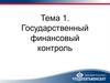 Государственный финансовый контроль